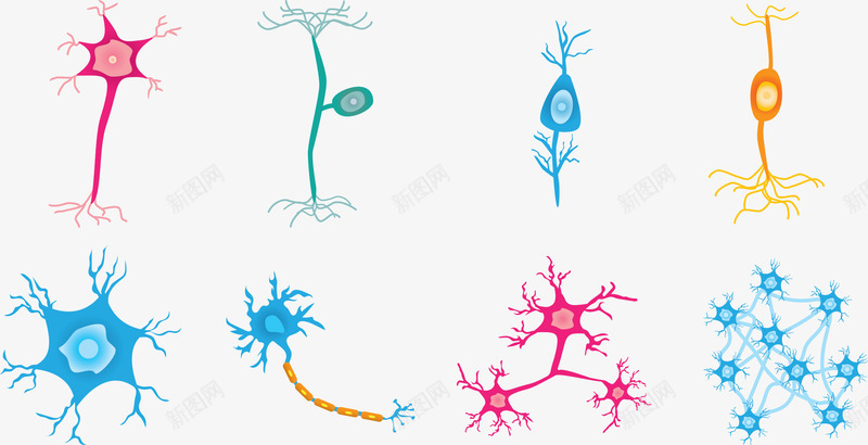 多种细菌形态图矢量图ai免抠素材_新图网 https://ixintu.com 健康 病毒 细菌 矢量图