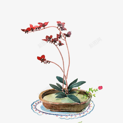 盆栽png免抠素材_新图网 https://ixintu.com 室内植物 盆景 花卉 花朵 花盆