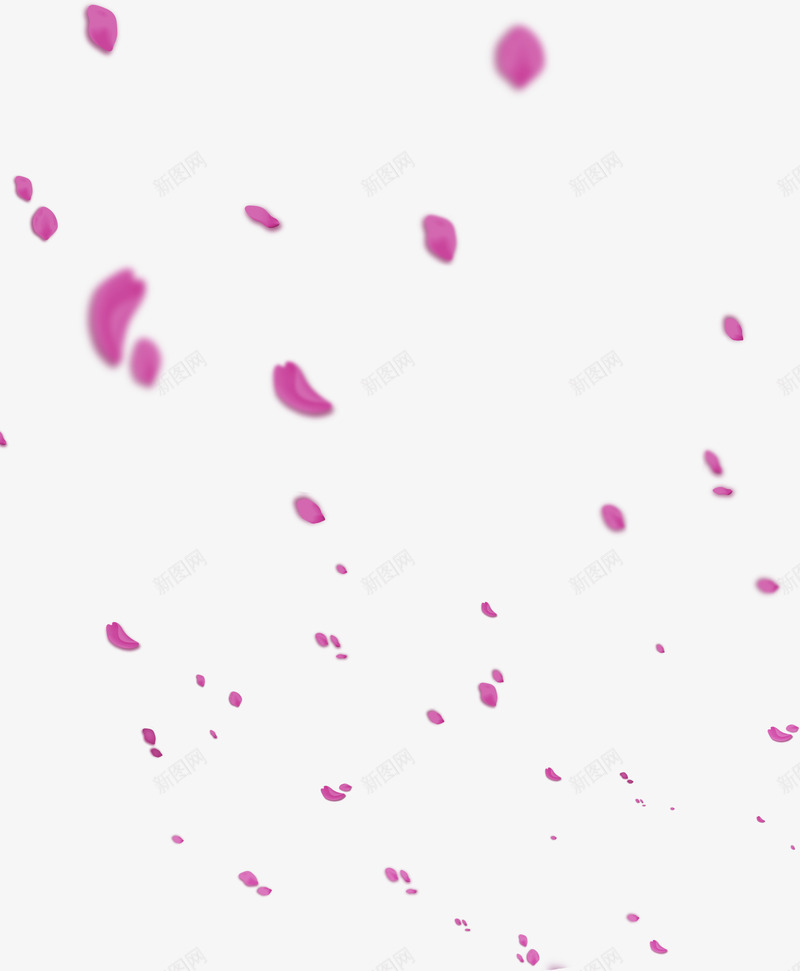 紫色的花瓣效果合成模糊png免抠素材_新图网 https://ixintu.com 合成 效果 模糊 紫色 花瓣