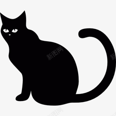 猫黑图标图标