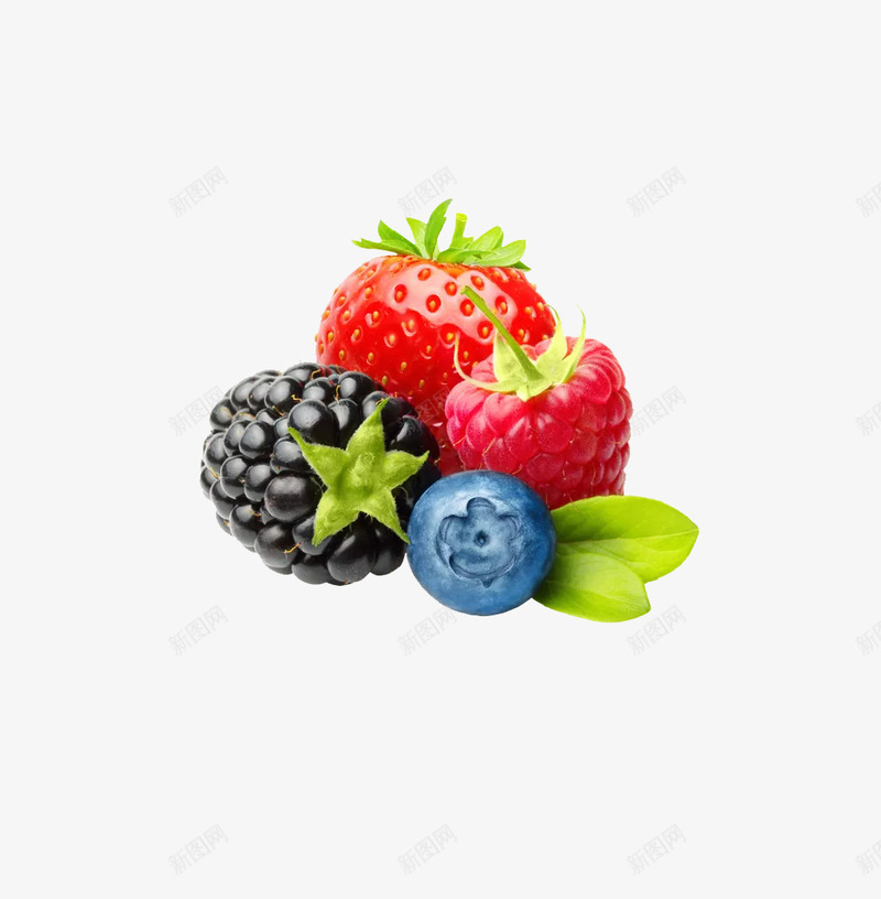 莓类水果png免抠素材_新图网 https://ixintu.com 树草莓 桑葚 水果 草莓 莓类 蓝莓 野草莓