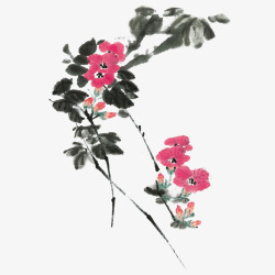 国画树枝写意图水墨牵牛花高清图片