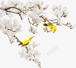 中国风山茶花花高清图片