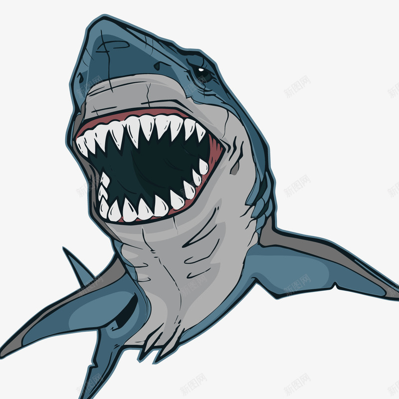 大白鲨矢量图ai免抠素材_新图网 https://ixintu.com 凶残 海洋动物 牙齿 矢量图 鲨鱼 鲨鱼嘴