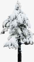 创意合成松树雪花覆盖合成png免抠素材_新图网 https://ixintu.com 创意 合成 松树 覆盖 雪花