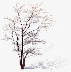 白色大树手绘冬季白色大树雪花高清图片