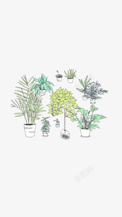 盆栽组图小清新手绘植物高清图片
