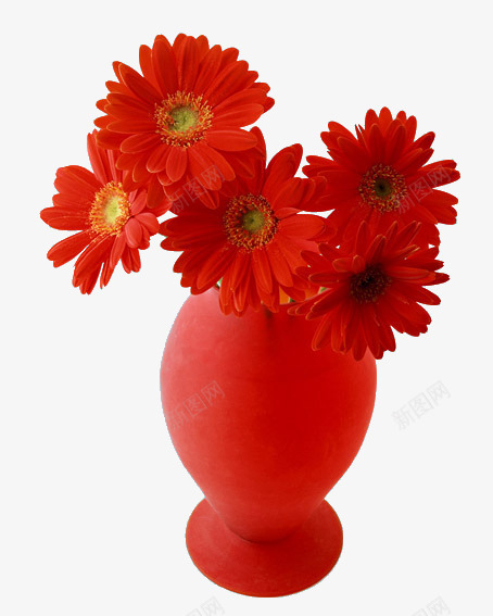 红花瓶里的红花png免抠素材_新图网 https://ixintu.com 大红花 景物 植物 盆栽 花朵
