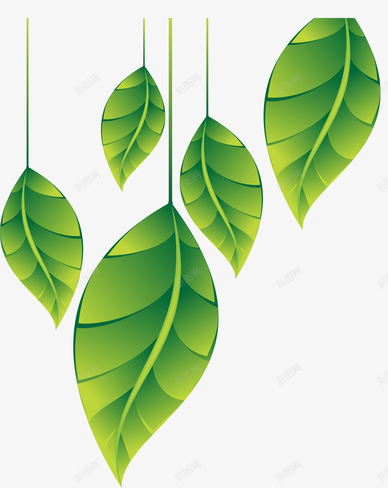 绿色清新植物png免抠素材_新图网 https://ixintu.com 挂件 挂饰 植物枝条 清新树叶 绿色植物 装饰图案
