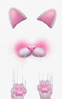 粉色猫咪表情素材