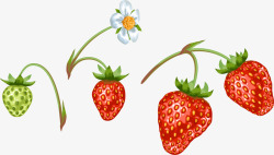 绿草莓手绘花朵草莓图案高清图片