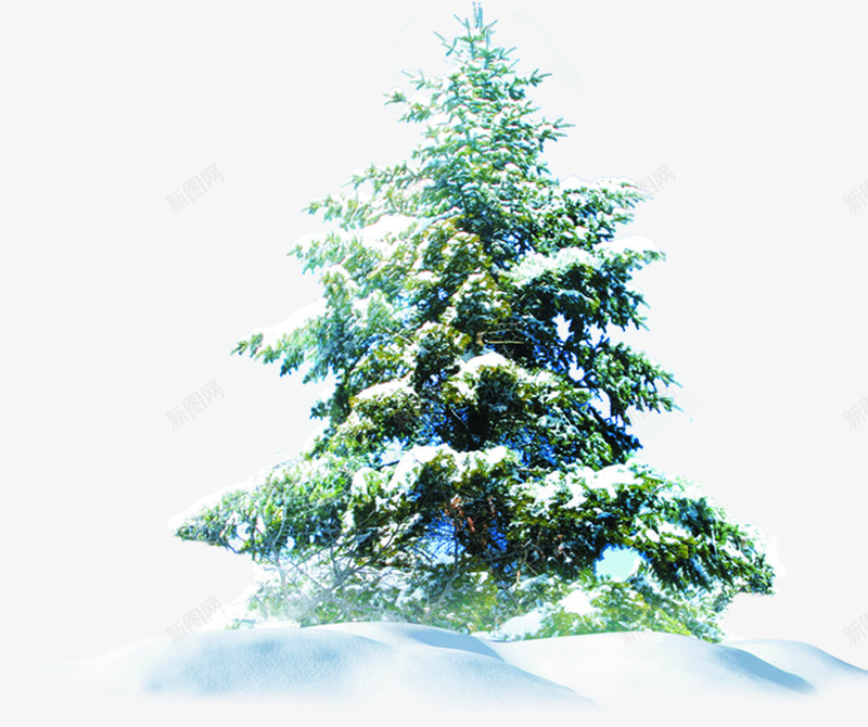冬季圣诞树邀请卡背景png免抠素材_新图网 https://ixintu.com 冬季 圣诞树 背景 邀请