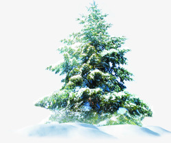 圣诞邀请卡冬季圣诞树邀请卡背景高清图片