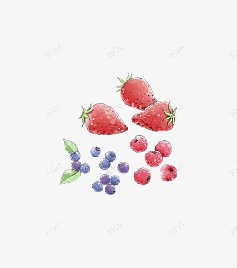 手绘水果png免抠素材_新图网 https://ixintu.com 手绘画 水果 矢量装饰 草莓 装饰