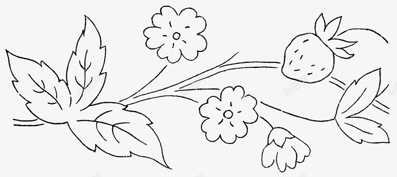 手绘植物png免抠素材_新图网 https://ixintu.com 叶子 手绘 手绘画 植物 草莓