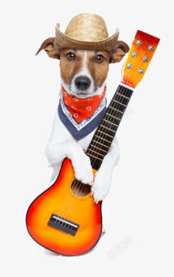 抱着吉他的狗狗素材