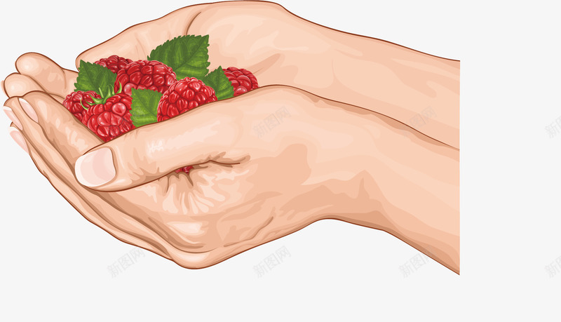 捧着草莓的手矢量图ai免抠素材_新图网 https://ixintu.com 双手 水果 草莓 矢量图