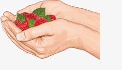 捧着草莓的手矢量图素材