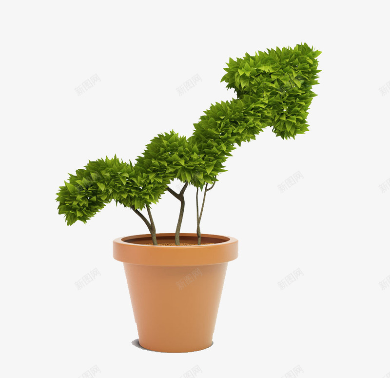 盆栽植物创意png免抠素材_新图网 https://ixintu.com 元素 创意 植物 盆栽