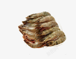 虾类食物一堆浅水黑虎虾高清图片