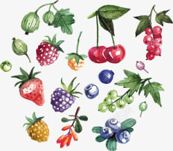 新鲜雪梨水彩插画精美的彩绘新鲜水果蔬菜矢量图高清图片