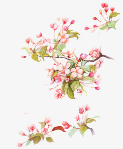 海棠树中国风手绘海棠高清图片