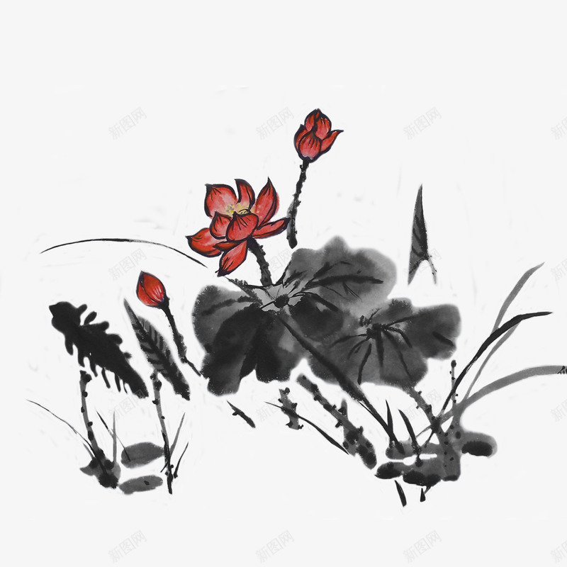 荷花png免抠素材_新图网 https://ixintu.com 水墨 红色 荷花 莲花 黑色
