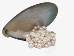 珍珠来源素材珍珠制品高清图片