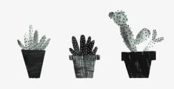 仙人掌盆栽黑白手绘图素材