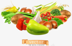 蔬菜水果萝卜新鲜蔬菜矢量图高清图片
