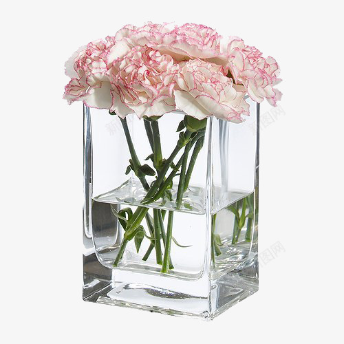 玻璃花瓶粉色花png免抠素材_新图网 https://ixintu.com 玻璃花瓶 瓶子里的花 粉色花 鲜花
