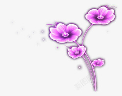 紫色发光的花儿素材
