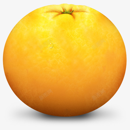 橙色水果ParadiseFruitIconSet图标png_新图网 https://ixintu.com Fruit Orange 橙色 水果