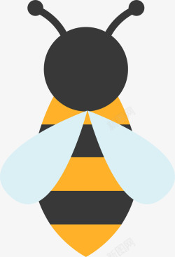 蜜蜂蜂毒透明翅膀蜜蜂矢量图高清图片