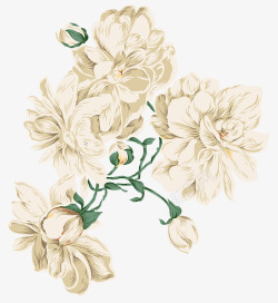 手绘合成白色的菊花效果素材