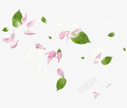 梦幻粉色的花瓣和叶子素材