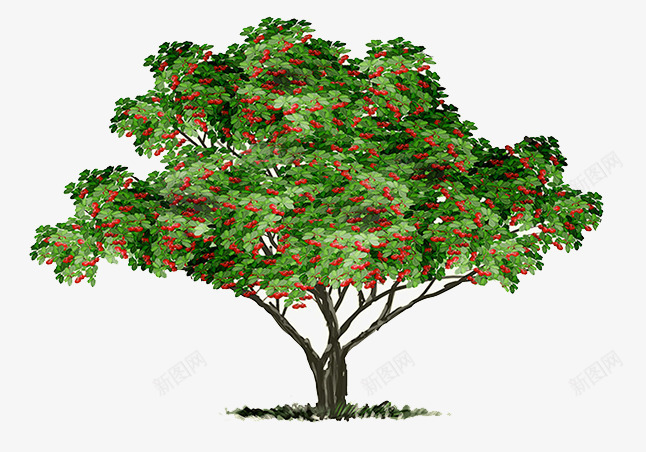 红色水果树手绘png免抠素材_新图网 https://ixintu.com 水果树 红色水果树 苹果树手绘
