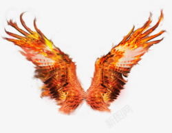 燃烧的翅膀图片燃烧的翅膀高清图片