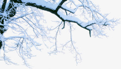 白色创意树枝下雪雪景素材