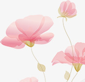 手绘粉色花卉万圣节贺卡素材