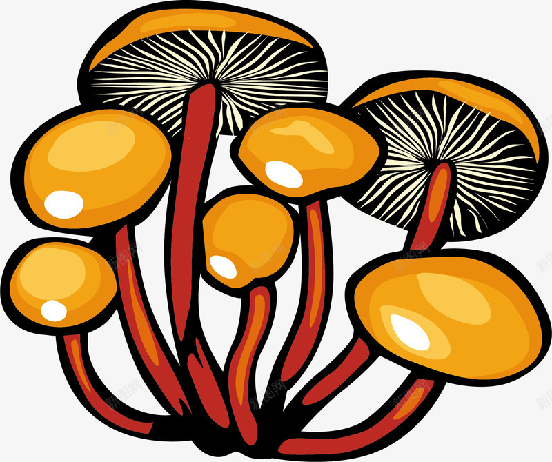 一堆蘑菇png免抠素材_新图网 https://ixintu.com 卡通 菌菇 菌菇拼盘 菌菇汤 野生菌菇 食物 黄色
