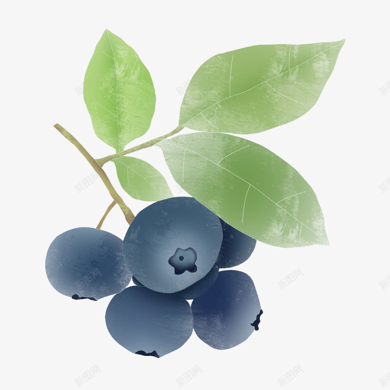 好吃的零食蓝莓水果元素png免抠素材_新图网 https://ixintu.com 水果 美食 蓝莓 零食
