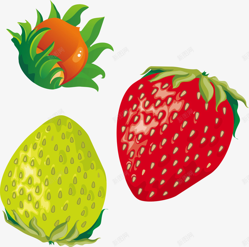 红草莓绿草梅水果png免抠素材_新图网 https://ixintu.com 水果 水果矢量 矢量水果 草莓