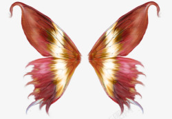 红色斑纹红色斑纹蝴蝶翅膀高清图片