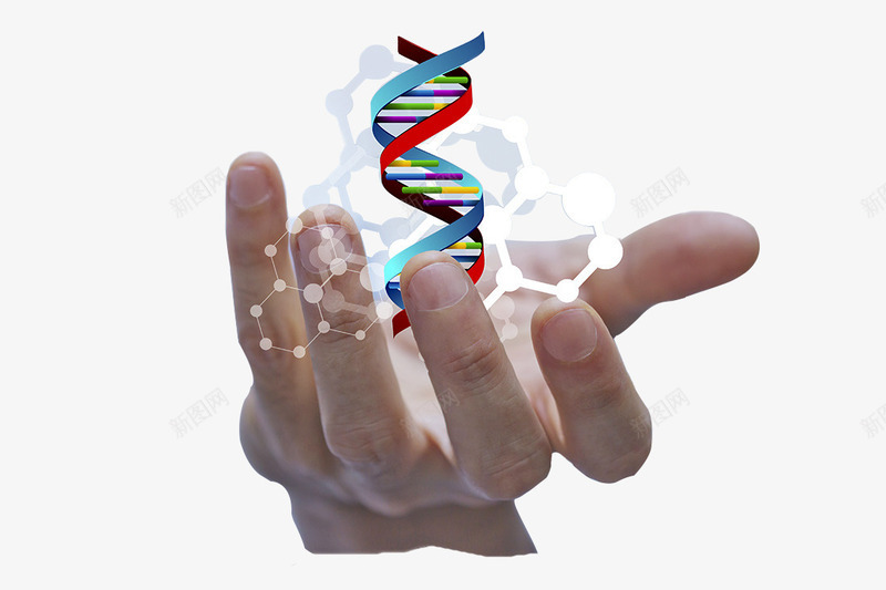 科技在手中png免抠素材_新图网 https://ixintu.com DNA 全球视野 手 掌控 现代 生物 生物科研 研究 高科技