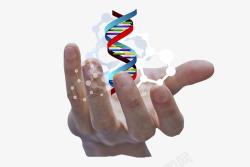 DNA研究科技在手中高清图片