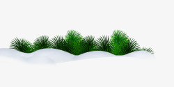 圣诞节草地雪地上的草地高清图片