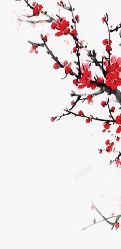 腊月梅花中国风腊梅高清图片