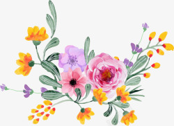 感恩节手绘水彩蔷薇花藤高清图片