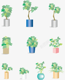室内常春藤植物盆栽素材
